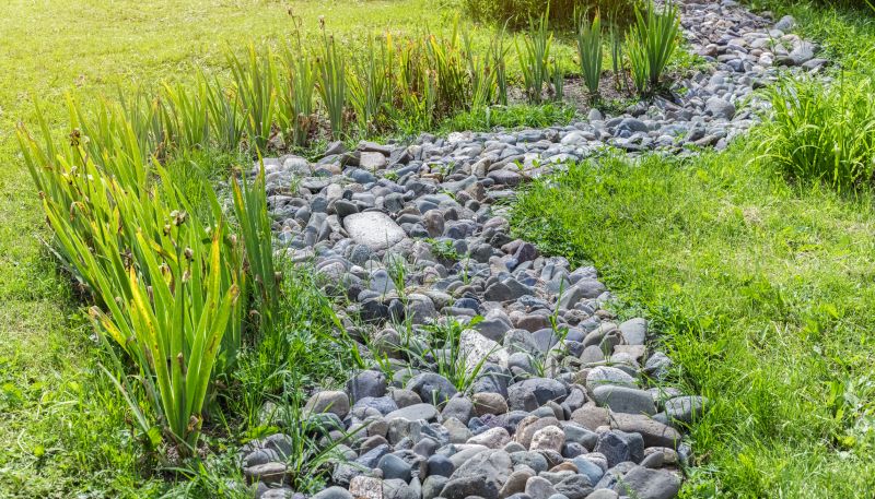 Xeriscape Landscaping in Ventura County, CA