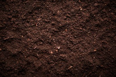 Test Your Soil's Ability To Drain Water